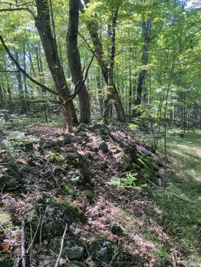 0West Road Allowance Road, Havelock-Belmont-Methuen, ON K0L 1Z0