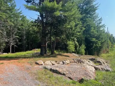 942 Balmer Road, North Kawartha, On K0l 1a0