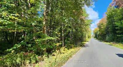 0 Skyline Drive, Armour, On P0a 1c0