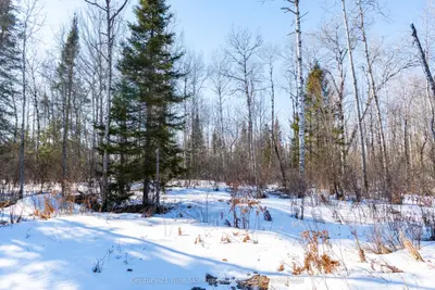 37 Macpherson Drive, East Ferris, On P0h 1k0