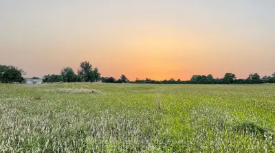 18373 Loyalist Parkway, Prince Edward County, ON K0K 2J0