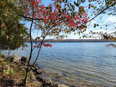 504 Bigwin Island, Lake of Bays, ON, P0A 1H0