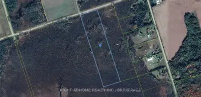 0 Ramsey Road, Kawartha Lakes, On K9v 2c0