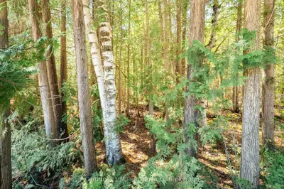 Pt Lt 24-25 Con 4 Ebr, Northern Bruce Peninsula, On N0h 1w0