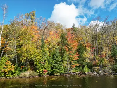 353c Balsam Creek Road, Parry Sound Remote Area, On P0h 1s0