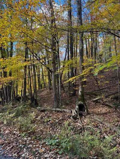 353C BALSAM CREEK Road, Parry Sound Remote Area, ON P0H 1S0