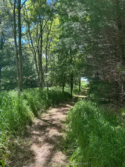 Lot 29 5th Line E, Mulmur, On L9v 0j8