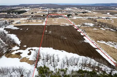 595298 4th Line, Blue Mountains, On N0h 2e0