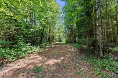 0000 Nangor Trail, Whitewater Region, On K0j 2l0