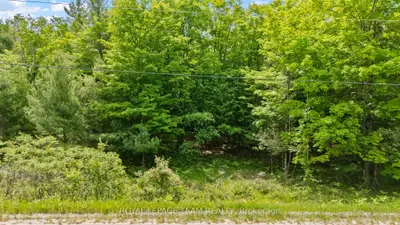 00 Maple Street, Lanark Highlands, On K0g 1m0