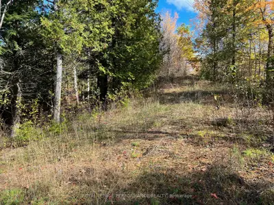 304 Lacourse Lane, Lanark Highlands, On K0a 3l0