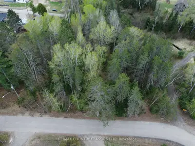 Ptlt 177/8 Murray Park Street, Madawaska Valley, On K0j 1b0