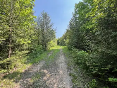 502774 Sideroad 9 Wgr, West Grey, On, N0g 1r0