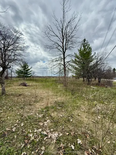 8 Morningside Drive, Rideau Lakes, On K7a 4s5