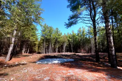 593 County 40 Road, Douro-dummer, On K0l 2v0