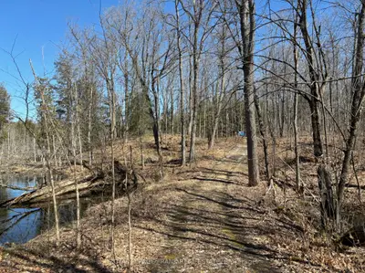 185 Julian Lake Road, North Kawartha, On K0l 3e0