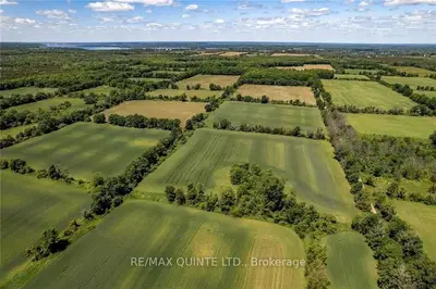 3292 County Road 8, Prince Edward County, On K0k 2t0