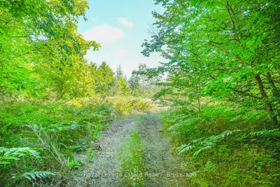Lot 2 Sixth Street, South Bruce Peninsula, On N0h 2g0