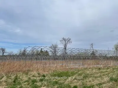 1834 10th Line W, Trent Hills, On K0l 1l0