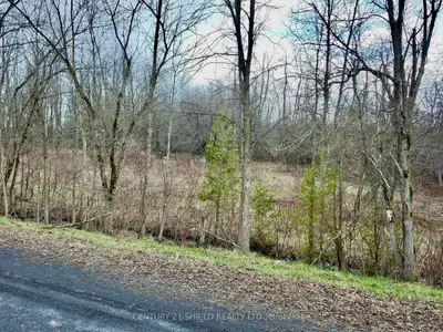 15448 North Lunenburg Road, South Stormont, On K0c 1r0