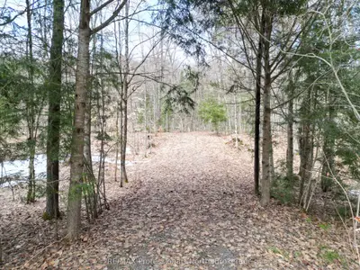 1231 Big Hawk Lake Road, Algonquin Highlands, On K0m 1j2