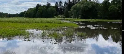 243 Prisque Road, Georgian Bay, On L0k 1s0