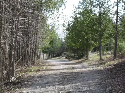 81 Silver Heights Drive, Trent Hills, On K0l 1y0