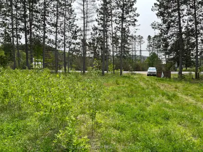 18500 Highway 60 Highway, Madawaska Valley, On K0j 1b0