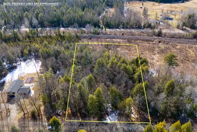 1042 Art Crisp Road, Gravenhurst, On P0e 1n0