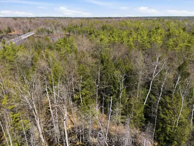 1673 Muskoka Rd 38, Muskoka Lakes, On, P0c 1a0