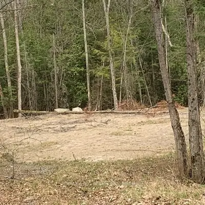 5 Mountain Basin Drive, Mcdougall, On P2a 2w9