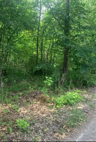 Lot 12 Suter Drive, Kawartha Lakes, On K0m 1b0