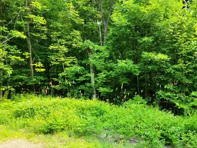 32 Mount Vernon Trail 22, Huntsville, On P1h 1e3