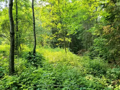 35 Mount Vernon Trail 26, Huntsville, On P1h 1e3