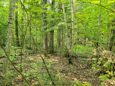 29 Mount Vernon Trail 29, Huntsville, On P1h 1e3