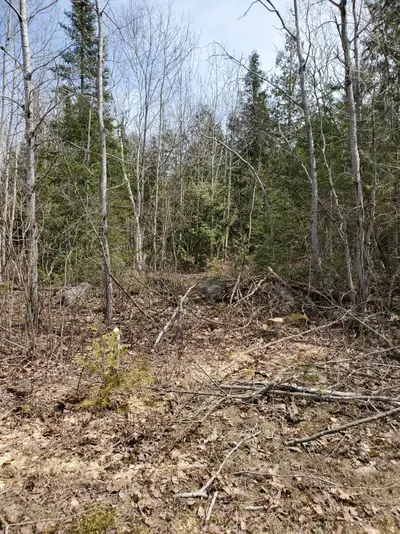 13476 N Hwy. 542 Highway, Gordon/barrie Island, On P0p 1h0
