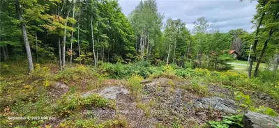 169 Northern Avenue, Trent Lakes, On K0m 1a0