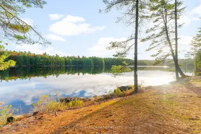 12 Voyageur Bay Trail, Whitewater Region, On K0j 1v0