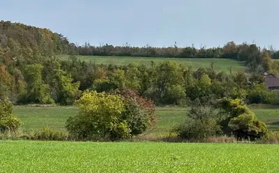58111 12th Line (13 Acre Severed Parcel) Road, Meaford, On N4l 1w5