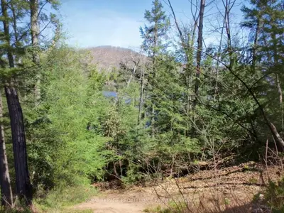 0 Granite Terrace Lane, Frontenac, On K0k 2j0