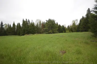 0 Murphy Road, Greater Madawaska, On K0j 1g0