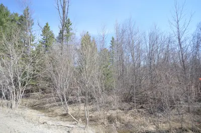 00 Behm Line, Whitewater Region, On K0j 1k0