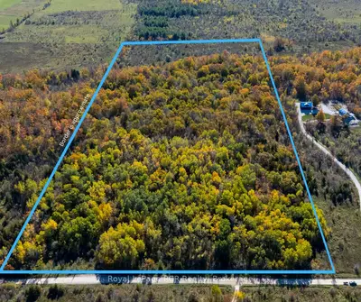 Ptlt 39 Con 25 N E, Georgian Bluffs, On, N0h 2t0