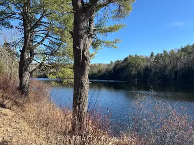 000 Opeongo Road, Madawaska Valley, On K0j 2n0