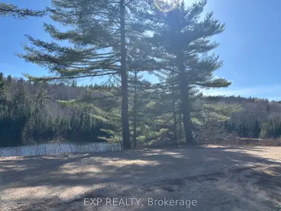 000 Opeongo Road, Madawaska Valley, On K0j 2n0