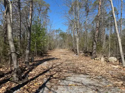 6192 County Rd 50, Trent Hills, On, K0l 1l0