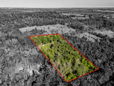 114 Baxter Road, Trent Hills, On K0k 3k0