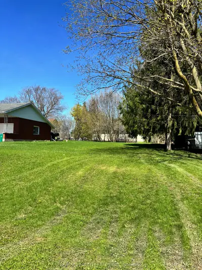 31 Christian Street, Wilmot, On N3a 2m7