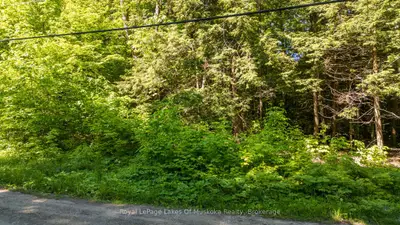 1061 South Muldrew Lake Road, Gravenhurst, On P0e 1g0