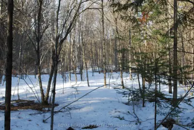 99 Future Lane, Stirling-rawdon, On K0k 2m0